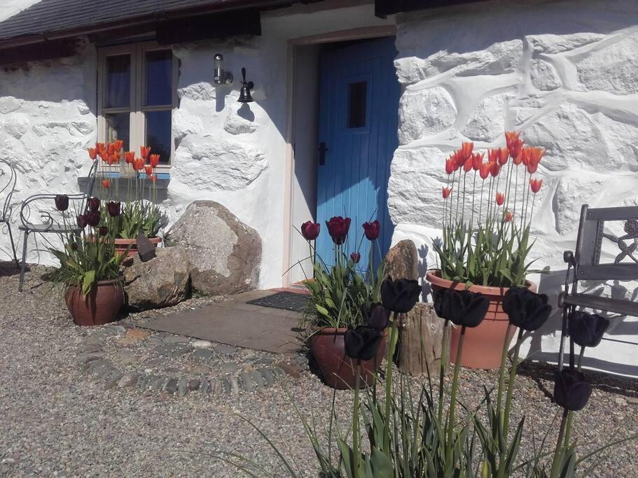 Traditional Stone Cottage With Sea Views In Snowdonia National Park Brynkir Exteriér fotografie