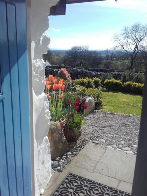 Traditional Stone Cottage With Sea Views In Snowdonia National Park Brynkir Exteriér fotografie